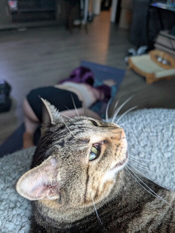 Full leaked Kitty bit games page private onlyfans photo