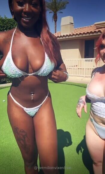 Vermilionvixenfree